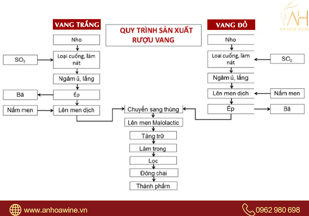 quy trình sản xuất rượu vang