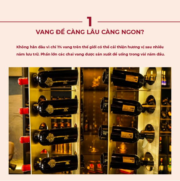 5 Lầm Tưởng Phổ Biến Về Vang 2 5 Sai Lam Pho Bien Ve Vang 04