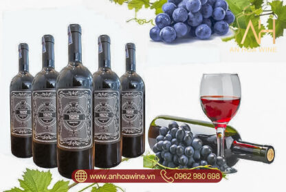 Rượu Vang Đỏ Ý 1922 Primitivo 750ML 17 Độ - Hình ảnh 3