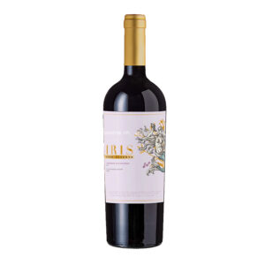 Rượu Vang Đỏ Chile Reserva Carmenere 14%