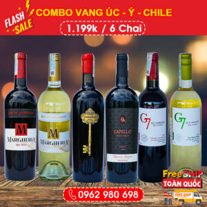 Combo 6 chai vang Uc Y Chile