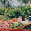 Rượu Vang Đỏ Úc Maison Blue Shiraz - Hình ảnh 5