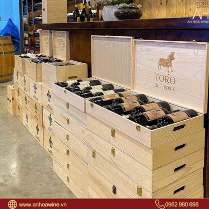 Rượu Vang Đỏ Chile Toro de Piedra Gran Reserva - Hình ảnh 3